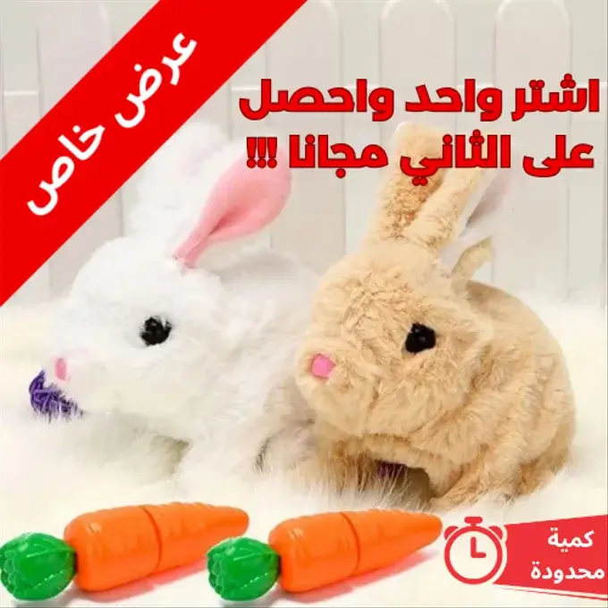 الأرنب المرح التفاعلي